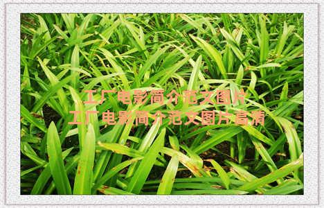 工厂电影简介范文图片 工厂电影简介范文图片高清